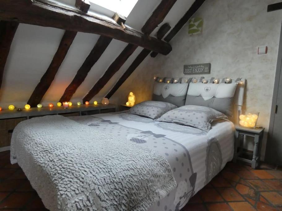 Maison De Charme Pres De Beauval Saint-Cyran-du-Jambot エクステリア 写真